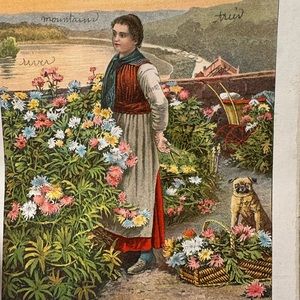 Helping our Cat Sanctuary